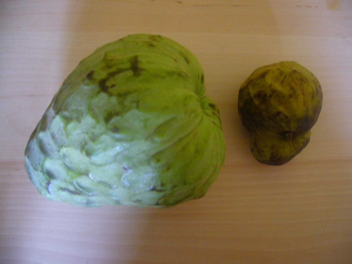 Cherimoya