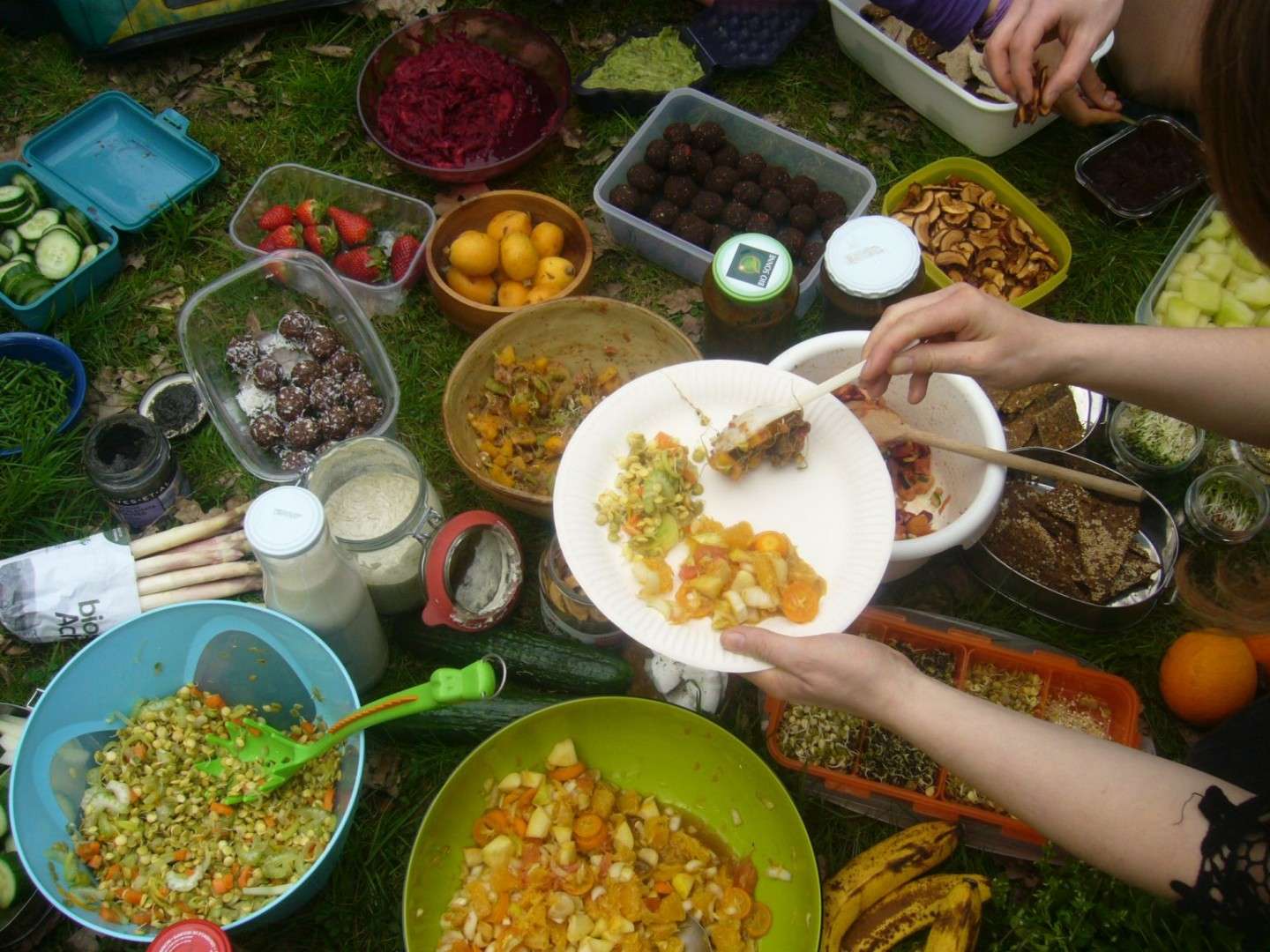 Rohkostpotluck Leipzig